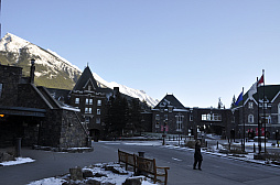 ꡼ No.011 | ʥХդǵѥե󥹡REBOOT Develop REDפšץ˥󥰤ȿĹˤĴֱݡ