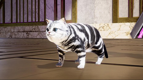 ꡼ No.012 | ֥Ρ⥢ҡ 3פ̾Ǥ12򥻥åȤˤǤ827ȯ䡣ͥХΥ꡼ư