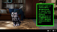 ꡼ No.025 | Switch֥Ρ⥢ҡ3פȯ䡣ǤϥʻȥϷϥѡҡ󥭥󥰤ĺܻؤ