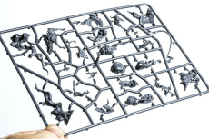 ꡼ No.025 | ȯ緿ե奢ץȡ֥ɥ饴󥮥סϪȤʤäե峤θݡȤ