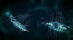 ꡼ No.005 | SwitchDLեȡֿʲΤҤߤ ZEROפ627ۿꡣ̿εǤΤʿʪ˰ƤۿΥ󥲡