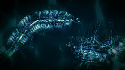 ꡼ No.006 | SwitchDLեȡֿʲΤҤߤ ZEROפ627ۿꡣ̿εǤΤʿʪ˰ƤۿΥ󥲡