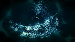 進化のひみつ ZERO