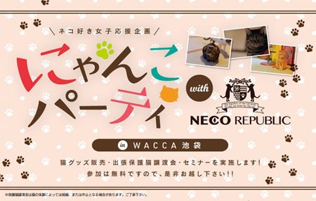 ꡼ No.002Υͥ / ֥˥ᥤȥ륺եƥХ 2019פνŸ1ƤȯɽˡϢο͵ȥ뤫鿷ʽƥĤνŸ