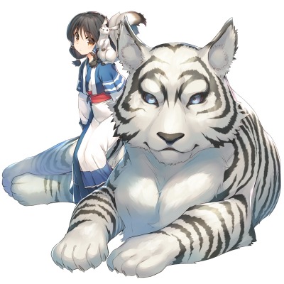 ꡼ No.003 | ֤ ȥե饰סᥤ󥹥ȡ꡼3Ⱦۿ