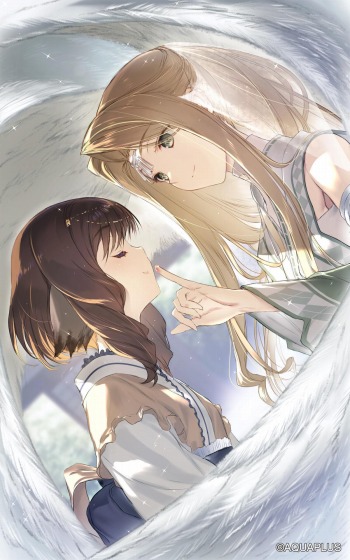 ꡼ No.006 | ֤ ȥե饰ץᥤ󥹥ȡ꡼7Ⱦۿ