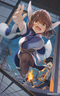 ꡼ No.005 | ֤ ȥե饰סᥤ󥹥ȡ꡼9Ⱦۿ򳫻