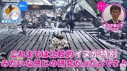 ꡼ No.010 | Pigeon Simulatorס֥ϥפ饤֥ɥ˥塼ΡȥवݡɤýưʪؼԤ