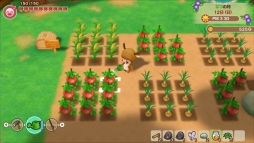 ꡼ No.004 | Ҿʪ ƲΥߥͥ륿פιǡver.1.1.2ۿϡDLǤ10OFFˤʤ륻