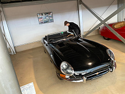 ꡼ No.010 | ޥեĤ󼡸褤477TEPPENܻؤѥѥΥɥ饤ְȡ