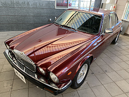 ꡼ No.014 | ޥեĤ󼡸褤477TEPPENܻؤѥѥΥɥ饤ְȡ