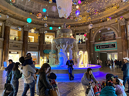 ꡼ No.024 | ޥեĤ󼡸褤477TEPPENܻؤѥѥΥɥ饤ְȡ