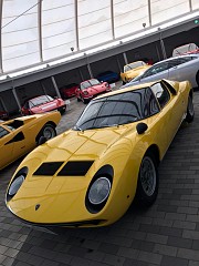 ꡼ No.031 | ޥեĤ󼡸褤477TEPPENܻؤѥѥΥɥ饤ְȡ