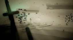 ���������꡼ No.004�Υ���ͥ������ / Switch�ѥ���������ɥ��եȡ֥������ ���󥴳���õ���פ������ۿ����ϡ������ʥ����꡼�󥷥�åȤ�����