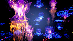 コーラル サンゴ海の探検