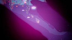 コーラル サンゴ海の探検