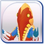 ꡼ No.006 | ֥饯 󥰥פˤƴָꥤ٥ȡȥ15֥եȤ