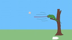 渋谷バッティングセンター