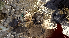 ꡼ No.005Υͥ / ֥ǥ˥ƥOS2ס3ͤΥꥸ󥭥饯²ֿʹ֡פȡ֥ꥶɡפξ餫