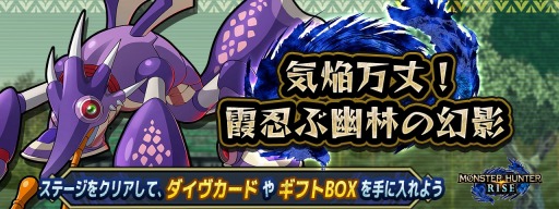 ꡼ No.009 | ֥åޥX DiVEסߡ֥ϥ饤ץ2Ƥ곫Ť