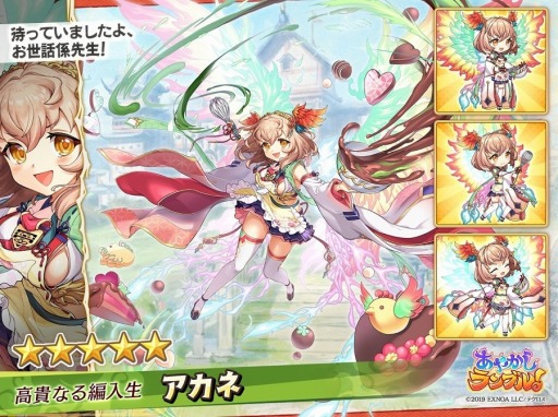 ꡼ No.005 | ֤䤫֥롪׸5ꥫȥХ󥿥󥤥٥ȡɤ»