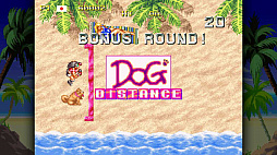 ꡼ No.005 | ȥС Order 76֥ե饤󥰥ѥǥפե󥹤ǿ͵ơꥫܤ򽸤ơ28ǯ֤äƤ