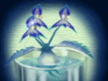 ꡼ No.033 | ٤ϡ֥󥹥ե2פǻƤߤ20ǯǥҥåȤCDɤʥ󥹥롩