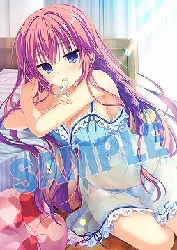 ���������꡼ No.005�Υ���ͥ������ / ��D.C.4 ������������4����Ź����ŵ�ξ��󤬸���