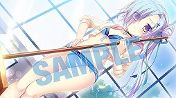 ���������꡼ No.008�Υ���ͥ������ / ��D.C.4 ������������4����Ź����ŵ�ξ��󤬸���