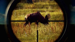 ꡼ No.018 | 400ʿ˼ͳʥ륫졼WreckreationפϪܡTHQ Nordic ǥ륷硼2022ڸԡ