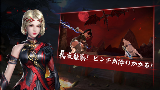 ꡼ No.003 | ή𶢥ǥƥˡפ1ǯǰ٥Ȥ档Amazonեȷ