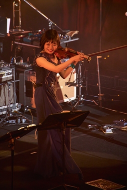 ꡼ No.008 | ֥åޥץ꡼γڶʷϪ줿֥åޥ饤 2020פݡȡ֥åޥ פΥBOXȯɽ