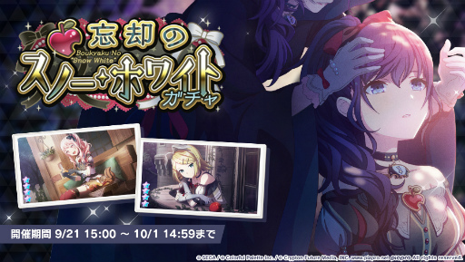 ꡼ No.011Υͥ / ֥ץȥפ˿ꥺॲڶʡȥȥ꡼ɤɲ