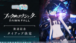 ���������꡼ No.001�Υ���ͥ������ / �֥ץ������ס��ȥ֥�å��������å����塼���� DAWN FALL��������ǰ�������åפ��»�