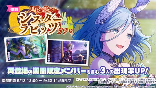 ���������꡼ No.002�Υ���ͥ������ / �֥ץ��������ȥ������ס��ڶʡȥ����إʡ��ɲá�[����] ������դΥ�����������ӥåĥ������9��13������