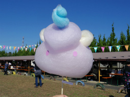 ꡼ No.018 | ץΥꥢ륤٥ȡȿ⹻ʸסɥݡȡ錄䥤Ƥߤޤǥ⥤٥ȤƸ