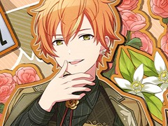 �֥ץ��������ȥ������ס�����饤�֡�HAPPY BIRTHDAY�饤�� ���͡ɤ���������