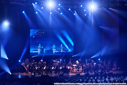 ꡼ No.003 | ֥ץסȥ&ڥХɤդǤ֥եˡ2024ץݡȡȤΥӥӥХϤξϪ