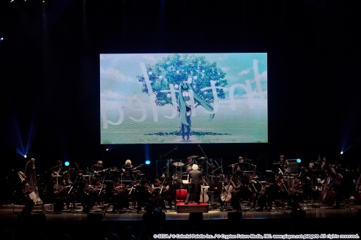 ꡼ No.030 | ֥ץסȥ&ڥХɤդǤ֥եˡ2024ץݡȡȤΥӥӥХϤξϪ