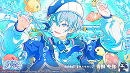 ꡼ No.006Υͥ / ֥ץס饤ְդ[ƴ򶦤] פ鿷Со