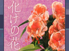 �֥ץ������ס��ʤ�������񤭲������ڶʡֲ����β֡פ��ɲá����٥�ȡַ�����ƻ�ϲ���ءפȥ������»�