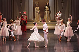 ���������꡼ No.007�Υ���ͥ������ / �Х쥨�֥ɥ饴�󥯥����ȡס��鳫�ŤȤʤ밦�θ���Υ����å����䤬�������Ϥˡ����θ��ݽѷ����ۡ���ˤơ�9��2���˳���