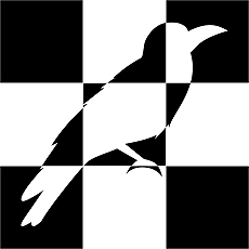 ꡼ No.009Υͥ / ѻפֽ񤯡סޤסڤפȤ򤭡ʪʤ롣Switchֻ ̤褫ۤǡפۿ