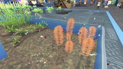 ꡼ No.005 | ֥ᥬꥦס緿ĥѥåøʪɤ꡼