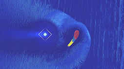 ���������꡼ No.017�Υ���ͥ������ / ��Apple Arcade�פ˿��³�����о��档��������ä��١����Υ��������RPG��Yaga�פʤ�4���ʤ�Ҳ�