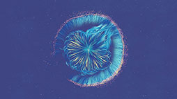 ���������꡼ No.018�Υ���ͥ������ / ��Apple Arcade�פ˿��³�����о��档��������ä��١����Υ��������RPG��Yaga�פʤ�4���ʤ�Ҳ�