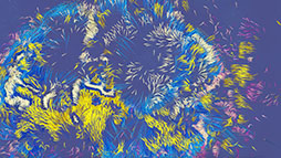 ���������꡼ No.023�Υ���ͥ������ / ��Apple Arcade�פ˿��³�����о��档��������ä��١����Υ��������RPG��Yaga�פʤ�4���ʤ�Ҳ�