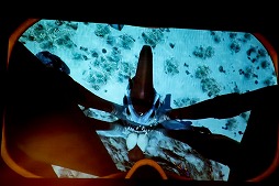 ꡼ No.012Υͥ / PLAYISMοȯɽ񤬳š4ȥޤࡤ11ܤTGS 2019Ÿȥ뤬