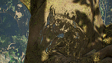 ꡼ No.008Υͥ / ȯľPredator: Hunting Groundsפκǿȥ쥤顼