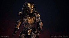 ꡼ No.011 | Predator: Hunting Groundsפ̵åץǡȤǥå郎꡼DLC2ƤǤϡ֥饤ץǥפ